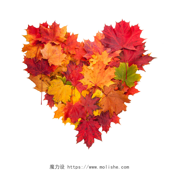 白色背景上一个树叶堆起来的爱心秋天的心